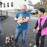 S-Wurf neues Zuhause in Nimsreuland